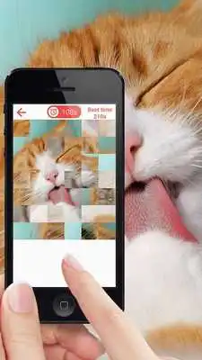 Play Cat Jigsaw Puzzle Game