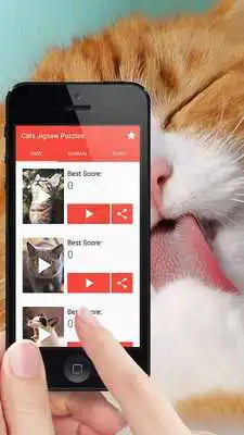 Play Cat Jigsaw Puzzle Game