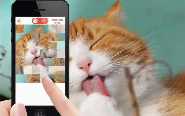 Play Cat Jigsaw Puzzle Game