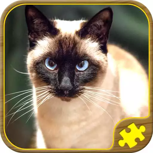 Run free android online Cat Jigsaw Puzzles APK
