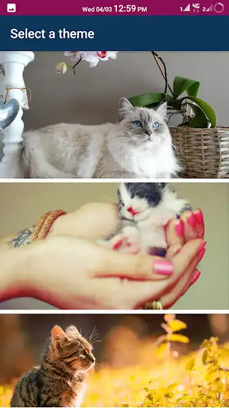 Play Cat Keyboard Theme