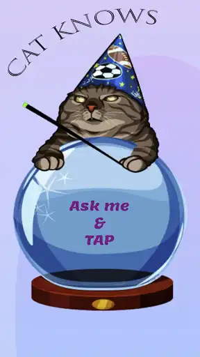 Play Cat Knows  and enjoy Cat Knows with UptoPlay