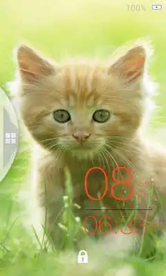 Play Cat Lock Screen Theme