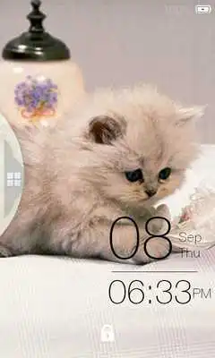 Play Cat Lock Screen Theme
