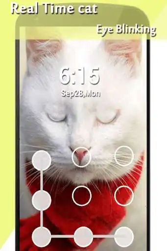 Play Cat Lock Screen & Wallpaper as an online game Cat Lock Screen & Wallpaper with UptoPlay