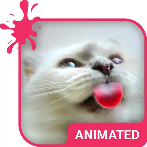 Play Cat Love Animated Keyboard + Live Wallpaper APK Play Cat Love Animated Keyboard + Live Wallpaper APK