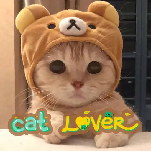 Play Cat Lover Wallpapers HD APK