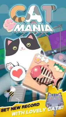 Play Cat Mania