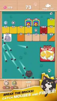 Play Cat Mania