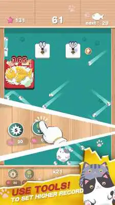 Play Cat Mania