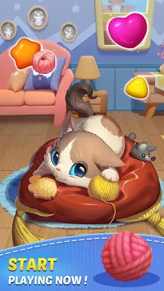 Play Cat Match - Match 3 Game  and enjoy Cat Match - Match 3 Game with UptoPlay