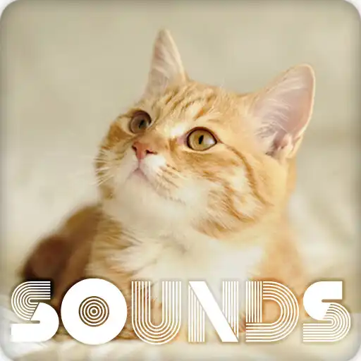 Play Cat Miaw Sound Ringtones APK