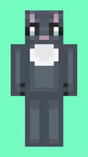 Play Cat Minecraft Skin as an online game Cat Minecraft Skin with UptoPlay