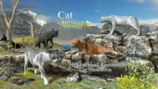 Play Cat Multiplayer