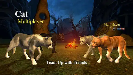 Play Cat Multiplayer
