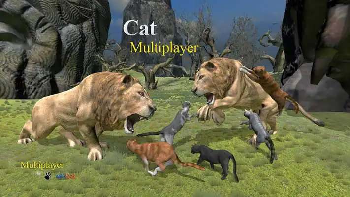 Play Cat Multiplayer