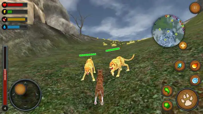 Play Cat Multiplayer