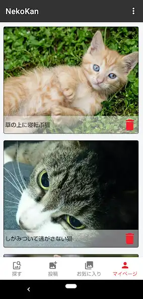 Play Cat Museum: Share cute photos   and enjoy Cat Museum: Share cute photos  with UptoPlay