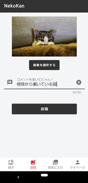Play Cat Museum: Share cute photos  as an online game Cat Museum: Share cute photos  with UptoPlay