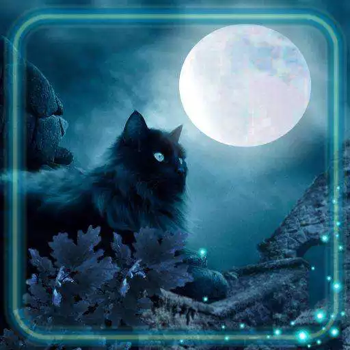 Play Cat Mystic Live Wallpaper APK