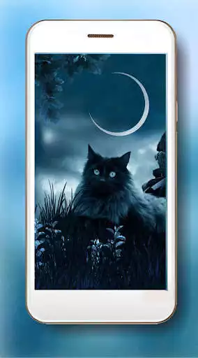 Play Cat Mystic Live Wallpaper  and enjoy Cat Mystic Live Wallpaper with UptoPlay