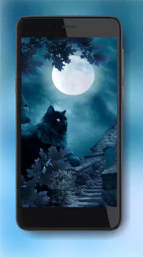 Play Cat Mystic Live Wallpaper as an online game Cat Mystic Live Wallpaper with UptoPlay