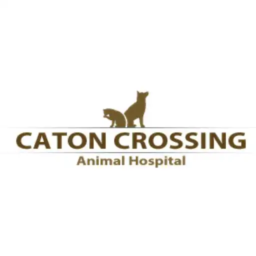 Play Caton Crossing Animal Hospital APK