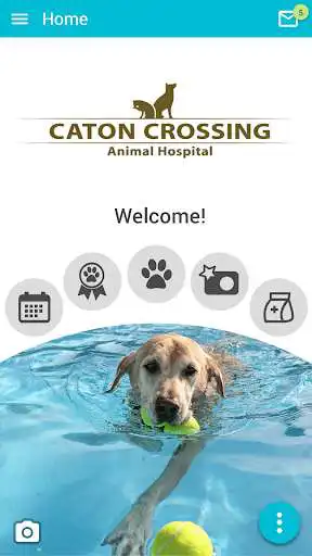 Play Caton Crossing Animal Hospital  and enjoy Caton Crossing Animal Hospital with UptoPlay