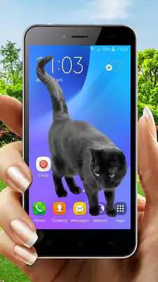 Play Cat On Screen