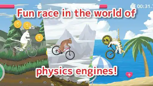 Play Cat on the Bicycle  and enjoy Cat on the Bicycle with UptoPlay
