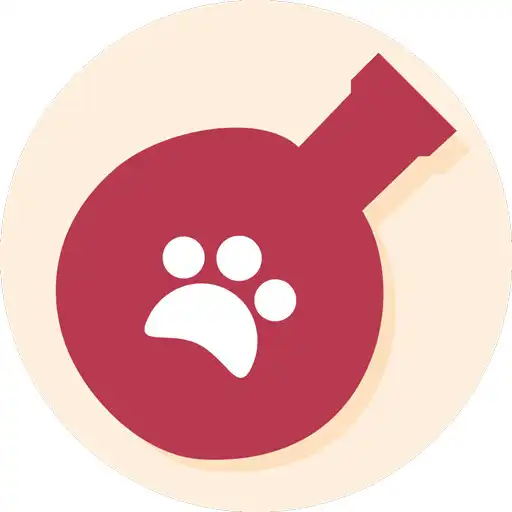 Play Catoquest APK Play Catoquest APK
