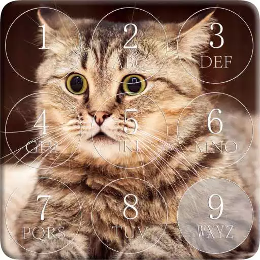 Free play online Cat password Lock Screen APK Free play online Cat password Lock Screen APK