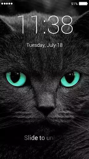 Play Cat password Lock Screen