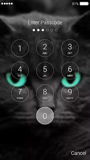 Play Cat password Lock Screen