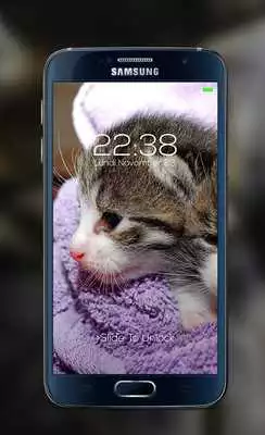 Play Cat password Lock Screen
