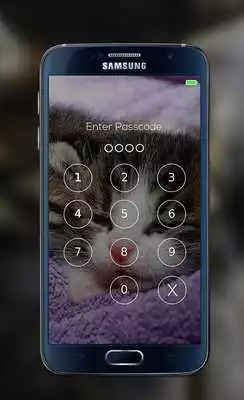 Play Cat password Lock Screen