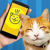 Free play online Cat Phrasebook Simulator  APK