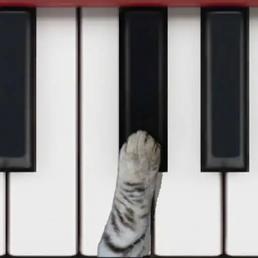 Play Cat Piano APK Play Cat Piano APK