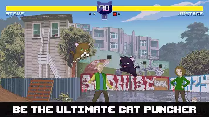 Play Cat Puncher