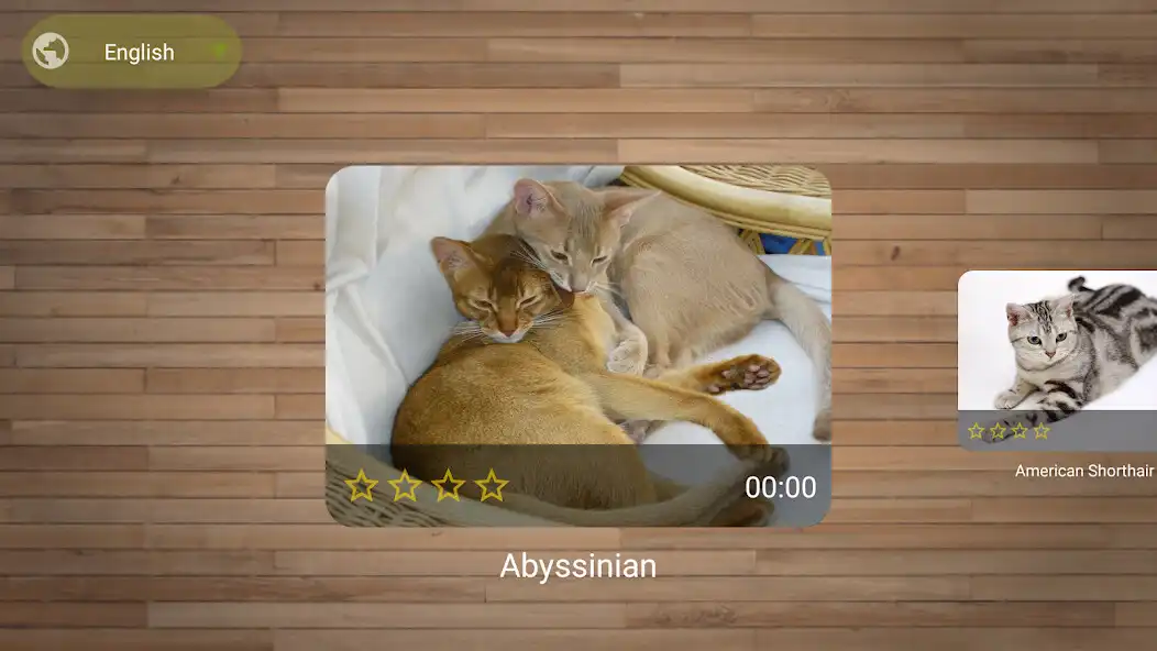 Play Cat Puzzle Game as an online game Cat Puzzle Game with UptoPlay