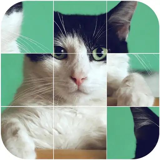 Play Cat Puzzle Games APK Play Cat Puzzle Games APK