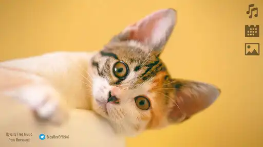 Play Cat Puzzle Games  and enjoy Cat Puzzle Games with UptoPlay