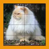 Free play online Cat Puzzles Extreme! 3 APK