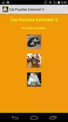 Play Cat Puzzles Extreme! 3 Play Cat Puzzles Extreme! 3