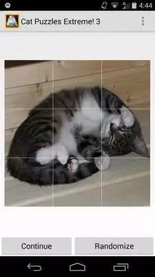 Play Cat Puzzles Extreme! 3 Play Cat Puzzles Extreme! 3