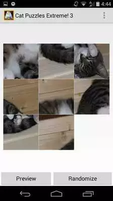 Play Cat Puzzles Extreme! 3 Play Cat Puzzles Extreme! 3