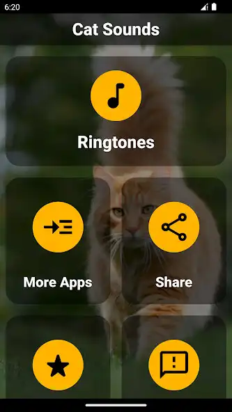 Play Cat Ringtones – Meow Sounds  and enjoy Cat Ringtones – Meow Sounds with UptoPlay
