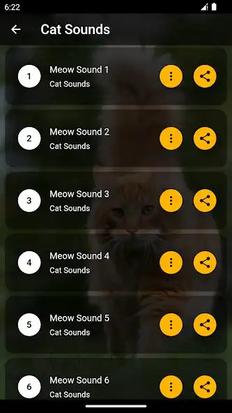 Play Cat Ringtones – Meow Sounds as an online game Cat Ringtones – Meow Sounds with UptoPlay