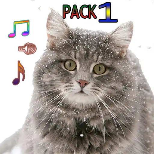 Play Cat Ringtones Vol1 with Cute Cats Wallpapers APK