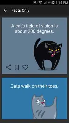 Play Catrivia